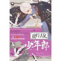 音像提灯去见少年郎矢厘