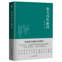 音像北大新诗臧棣