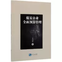 音像煤炭企业全面预算管理李强林