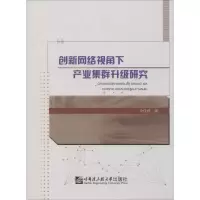 音像创新网络视角下产业集群升级研究余佳群