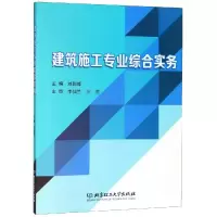 音像建筑施工专业综合实务刘彩峰 编