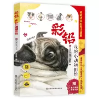 音像彩铅:我的小动物图绘刘菲菲著