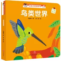 音像鸟类世界/“宝宝没想到”主题认知洞洞书巩孺萍