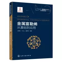 音像金属富勒烯(从基础到应用纳米材料前沿)(精)王春儒