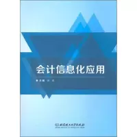 音像会计信息化应用杨昆 编
