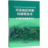 音像河流储层构型和建模技术张金亮,王金凯,徐文,谢俊著