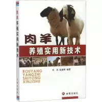 音像肉羊养殖实用新技术权凯,赵金艳