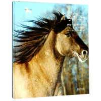 音像野马(精)/动物小百科梅利莎·吉什