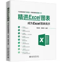 音像精进Excel图表(成为Excel图表高手)周庆麟,周奎奎