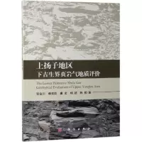 音像上扬子地区下古生界页岩气地质评价张金川
