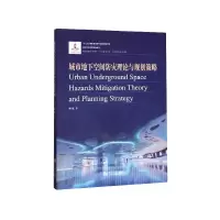 音像城市地下空间防灾理论与规划策略/城市安全风险管理丛书赫磊