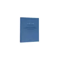 音像十年十件王铁 著