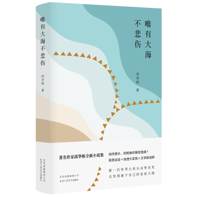 音像唯有大海不悲伤邱华栋
