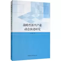 音像战略新兴产业动态演进研究何文韬