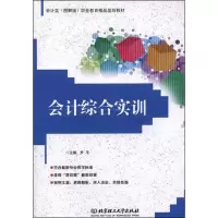 音像会计综合实训罗平 编