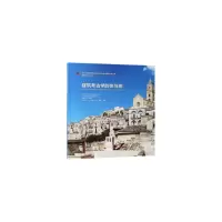 音像建筑考古学的体与用徐怡涛、[比]高曼士、张剑葳主编