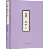 音像安徽文学史 第2卷(南宋至近代) 增订版唐先田,陈友冰 编
