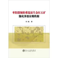 音像枣阳微细粒难选原生金红石矿强化浮选分离机制肖巍