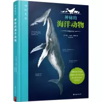 音像动物笔记:神秘的海洋动物胡安·卡洛斯·阿隆索