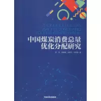 音像中国煤炭消费总量优化分配研究罗宏 等