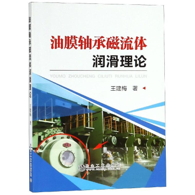 音像油膜轴承磁流体润滑理论王建梅