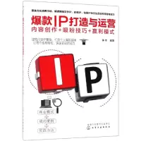 音像IP打造与运营:内容创作+吸粉技巧+赢利模式李伟 编著