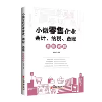 音像小微企业会计、纳税、查账真账实操索晓辉编著