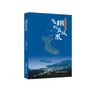 音像飞翔的蓝凤凰王进主编