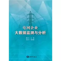 音像电网企业大数据监测与分析国网青海省电力公司