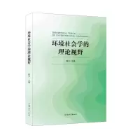 音像环境社会学的理论视野