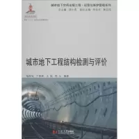 音像城市地下工程结构检测与评价杨新安 等