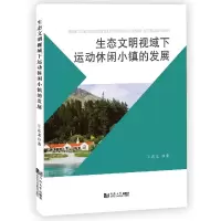 音像生态文明视域下运动休闲小镇的发展王念龙著