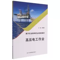 音像高压电工作业(海洋石油特种作业培训教材)刘政印