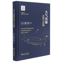 音像大气灰霾(追因与控制)(精)贺泓