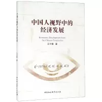 音像中国人视野中的经济发展王今朝著