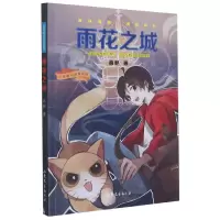 音像雨花之城/少年奇幻探险系列高萨 著
