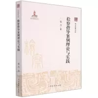 音像检察指导案例理论与实践张杰 著