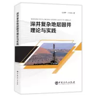 音像深井复杂地层固井理论与实践马开华 丁士东
