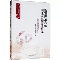 音像改革开放40年 湖北农民群体研究林曾,王晓磊,李梦竹