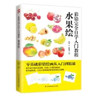 音像彩铅完全自学入门教程 水果绘韩冰