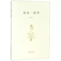 音像相见一枝草宋乐明