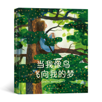 音像当我像鸟飞向我的梦[瑞典]萨拉·隆德贝里(SaraLundberg)
