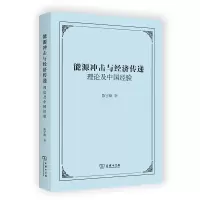 音像能源冲击与经济传递:理论及中国经验陈宇峰