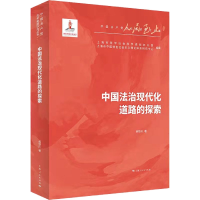 音像中国法治现代化道路的探索郝铁川 著