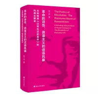 音像的诗:浪漫主义的话语风暴张一兵 著