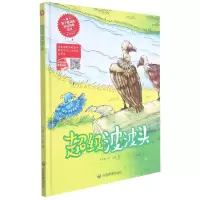 音像波波头(精)何文楠著;文栋绘