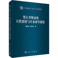 音像鄂尔多斯盆地天然裂缝与注水诱导裂缝曾联波,赵向原