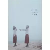 音像有风王杨