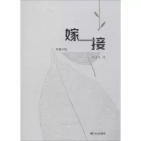 音像嫁接刘玉琴