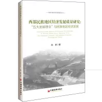 音像西部民族地区经济发展质量研究向琳